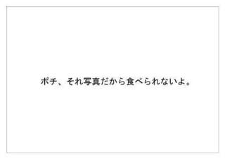 キャノン7.jpg