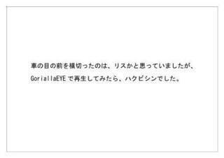 パナソニック36.jpg
