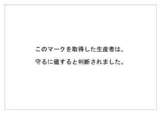 レインフォレスト1.jpg