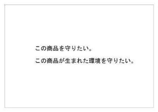 レインフォレスト11.jpg