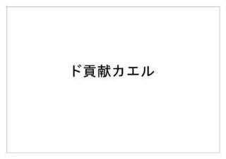レインフォレスト12.jpg
