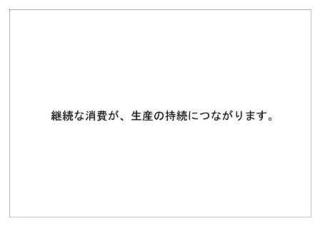 レインフォレスト2.jpg