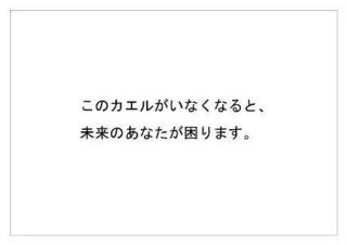 レインフォレスト21.jpg