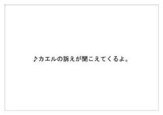 レインフォレスト23.jpg