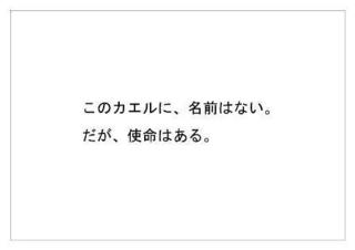 レインフォレスト25.jpg