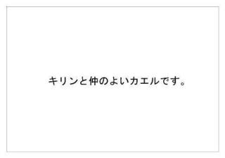 レインフォレスト26.jpg