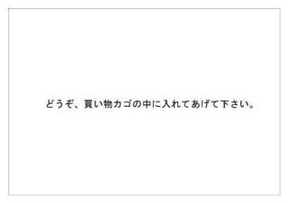 レインフォレスト29.jpg