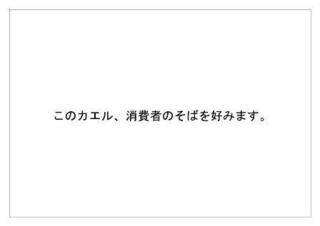 レインフォレスト30.jpg