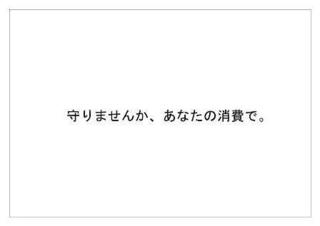 レインフォレスト31.jpg
