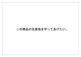 レインフォレスト4.jpg