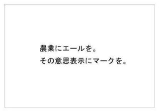 レインフォレスト5.jpg