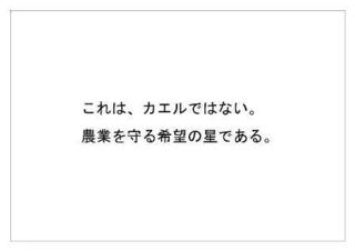 レインフォレスト8.jpg