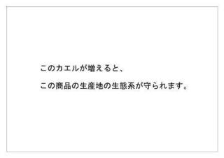 レインフォレスト9.jpg