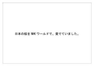 日本放送協会34.jpg