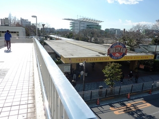 P0780.jpg