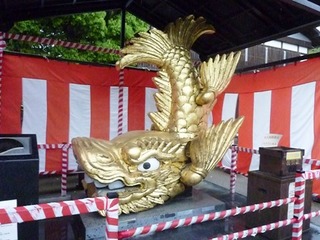 P10108.jpg