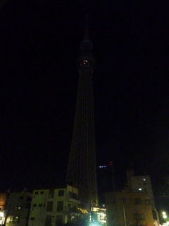P20201.jpg