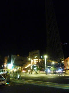 P20202.jpg
