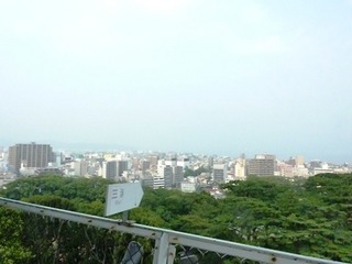 P20641.jpg