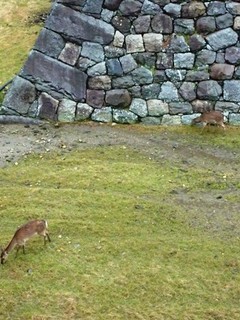P30112.jpg